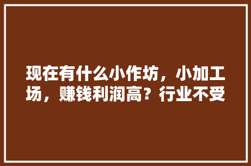 现在有什么小作坊，小加工场，赚钱利润高？行业不受限制，手工小吃店