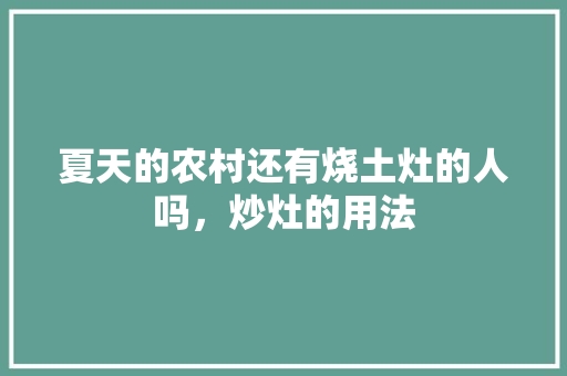 夏天的农村还有烧土灶的人吗，炒灶的用法