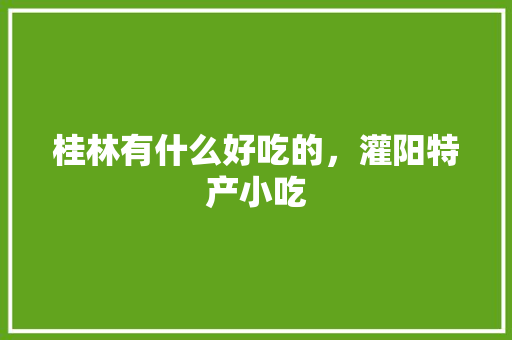 桂林有什么好吃的，灌阳特产小吃