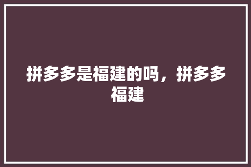 拼多多是福建的吗，拼多多 福建