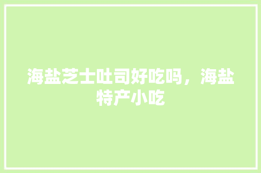 海盐芝士吐司好吃吗，海盐特产小吃 海盐芝士吐司好吃吗，海盐特产小吃 家居窍门