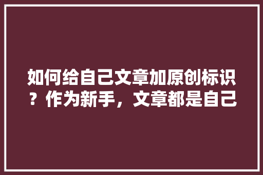 如何给自己文章加原创标识？作为新手，文章都是自己撰写的，如何操作才能显示原创，地方小吃菜谱