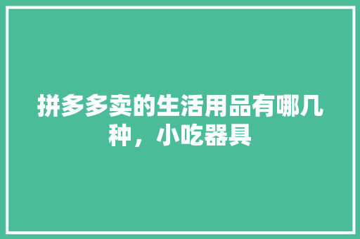 拼多多卖的生活用品有哪几种，小吃器具