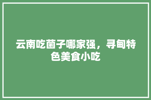 云南吃菌子哪家强，寻甸特色美食小吃