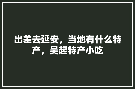 出差去延安，当地有什么特产，吴起特产小吃 出差去延安，当地有什么特产，吴起特产小吃 美食推荐