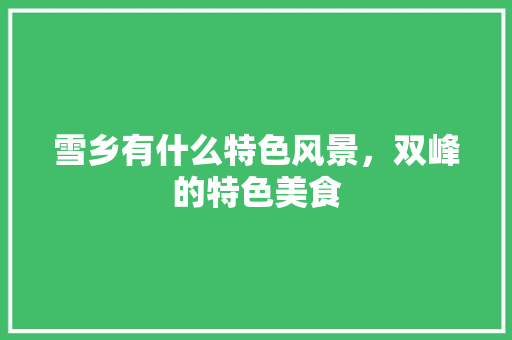 雪乡有什么特色风景，双峰的特色美食