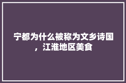 宁都为什么被称为文乡诗国，江淮地区美食