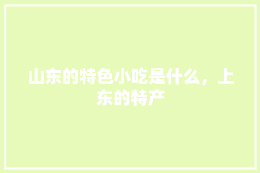 山东的特色小吃是什么，上东的特产