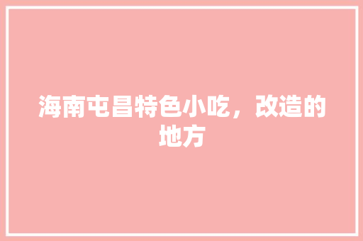 海南屯昌特色小吃，改造的地方 海南屯昌特色小吃，改造的地方 生活指南
