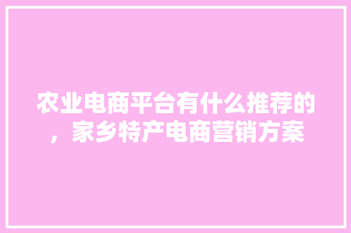 农业电商平台有什么推荐的，家乡特产电商营销方案