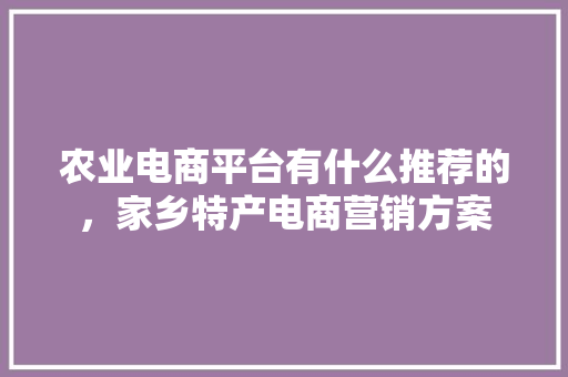 农业电商平台有什么推荐的，家乡特产电商营销方案