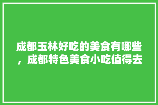 成都玉林好吃的美食有哪些，成都特色美食小吃值得去的地方