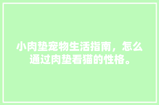 小肉垫宠物生活指南，怎么通过肉垫看猫的性格。 小肉垫宠物生活指南，怎么通过肉垫看猫的性格。 生活指南