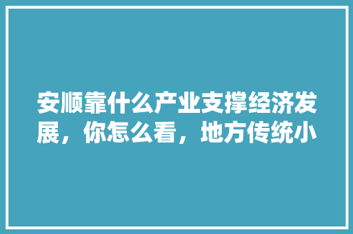 安顺靠什么产业支撑经济发展，你怎么看，地方传统小吃怎样发展 安顺靠什么产业支撑经济发展，你怎么看，地方传统小吃怎样发展 美食推荐