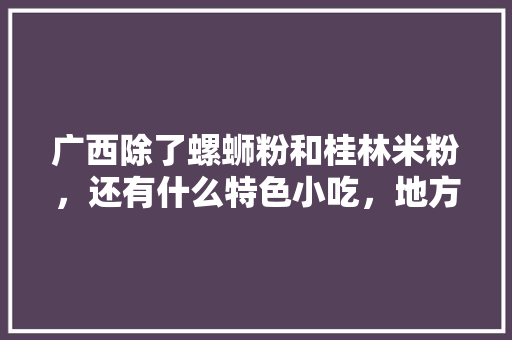 广西除了螺蛳粉和桂林米粉，还有什么特色小吃，地方小吃特产