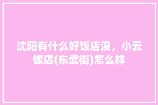 沈阳有什么好饭店没，小云饭店(东武街)怎么样