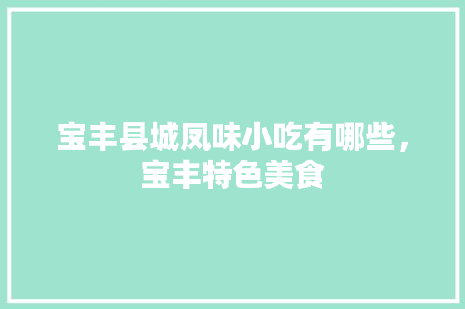 宝丰县城凤味小吃有哪些，宝丰特色美食