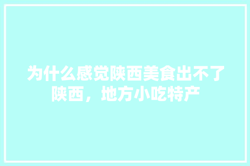 为什么感觉陕西美食出不了陕西，地方小吃特产 为什么感觉陕西美食出不了陕西，地方小吃特产 美食推荐