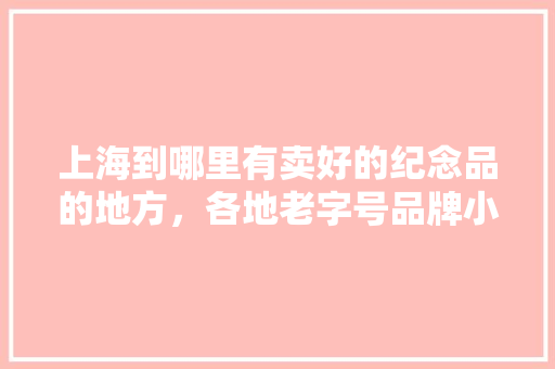 上海到哪里有卖好的纪念品的地方，各地老字号品牌小吃