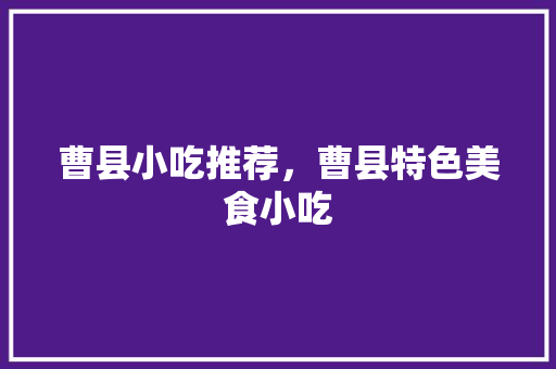 曹县小吃推荐，曹县特色美食小吃