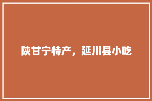陕甘宁特产，延川县小吃