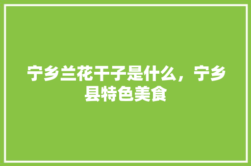 宁乡兰花干子是什么，宁乡县特色美食 宁乡兰花干子是什么，宁乡县特色美食 旅行资讯