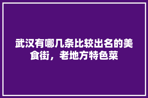 武汉有哪几条比较出名的美食街，老地方特色菜