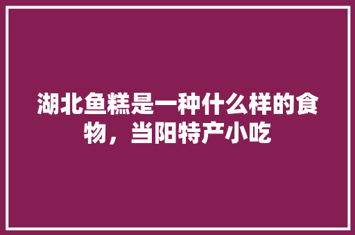 湖北鱼糕是一种什么样的食物，当阳特产小吃