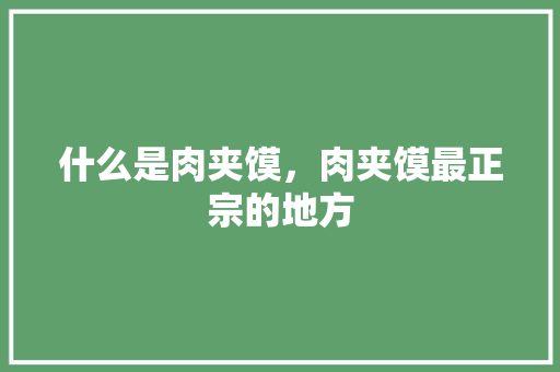 什么是肉夹馍，肉夹馍最正宗的地方 什么是肉夹馍，肉夹馍最正宗的地方 美食推荐