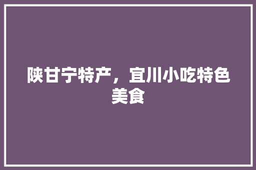 陕甘宁特产，宜川小吃特色美食