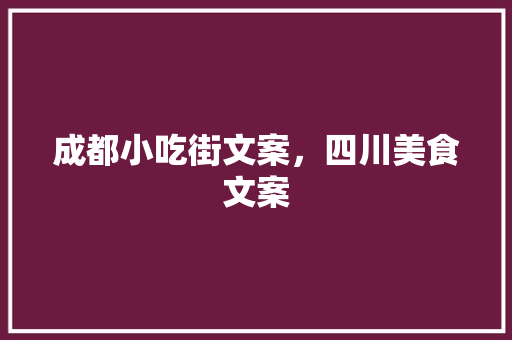 成都小吃街文案，四川美食文案