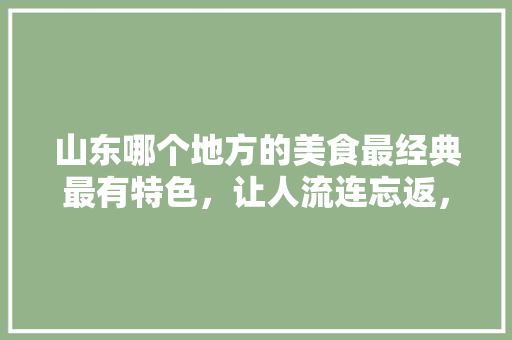 山东哪个地方的美食最经典最有特色，让人流连忘返，山东最有特色的小吃 山东哪个地方的美食最经典最有特色，让人流连忘返，山东最有特色的小吃 美食推荐