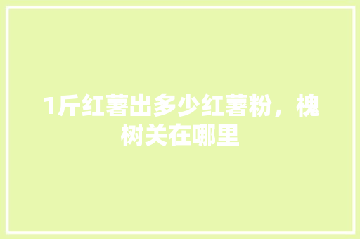 1斤红薯出多少红薯粉，槐树关在哪里 1斤红薯出多少红薯粉，槐树关在哪里 旅行资讯