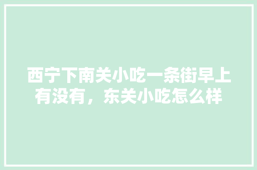 西宁下南关小吃一条街早上有没有，东关小吃怎么样