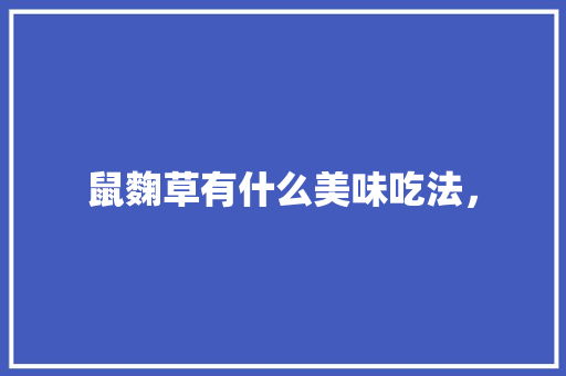 鼠麴草有什么美味吃法， 鼠麴草有什么美味吃法， 美食推荐