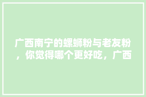 广西南宁的螺蛳粉与老友粉，你觉得哪个更好吃，广西老友粉介绍