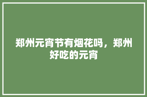 郑州元宵节有烟花吗，郑州好吃的元宵