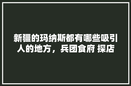 新疆的玛纳斯都有哪些吸引人的地方，兵团食府 探店