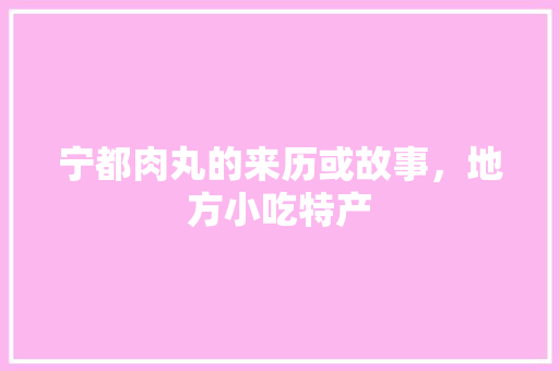 宁都肉丸的来历或故事，地方小吃特产 宁都肉丸的来历或故事，地方小吃特产 美食推荐