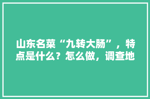 山东名菜“九转大肠”，特点是什么？怎么做，调查地方特色美食的调查报告 山东名菜“九转大肠”，特点是什么？怎么做，调查地方特色美食的调查报告 美食推荐