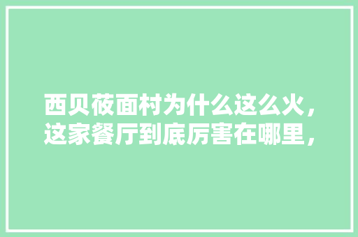 西贝莜面村为什么这么火，这家餐厅到底厉害在哪里，