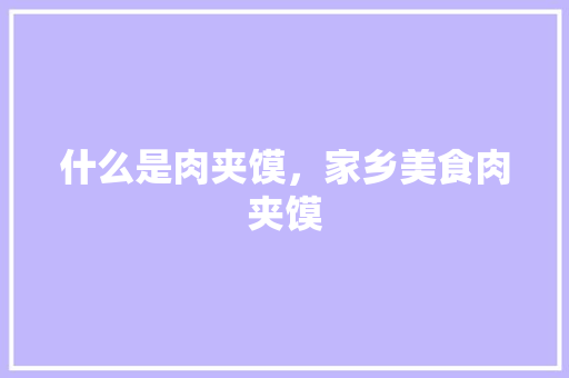 什么是肉夹馍，家乡美食肉夹馍 什么是肉夹馍，家乡美食肉夹馍 生活指南