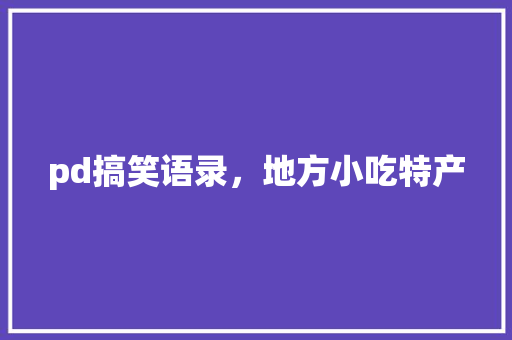pd搞笑语录，地方小吃特产