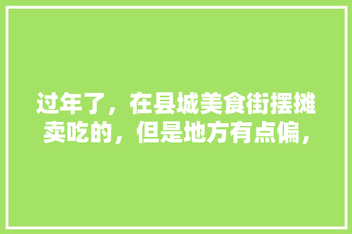 过年了，在县城美食街摆摊卖吃的，但是地方有点偏，有什么好办法能赚到过年钱，特色美食小吃摆摊 过年了，在县城美食街摆摊卖吃的，但是地方有点偏，有什么好办法能赚到过年钱，特色美食小吃摆摊 美食推荐