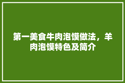 第一美食牛肉泡馍做法，羊肉泡馍特色及简介