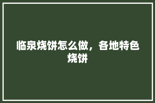 临泉烧饼怎么做，各地特色烧饼