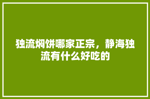 独流焖饼哪家正宗，静海独流有什么好吃的 独流焖饼哪家正宗，静海独流有什么好吃的 健康建议