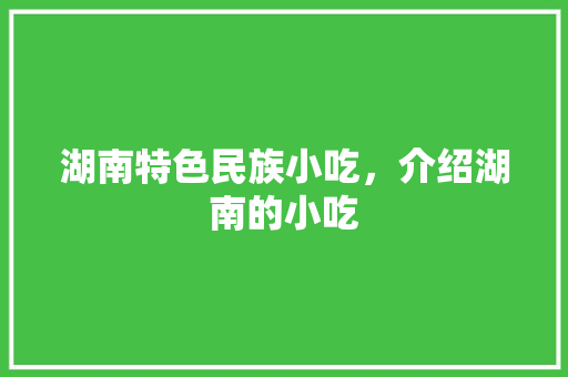 湖南特色民族小吃，介绍湖南的小吃