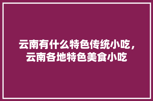 云南有什么特色传统小吃，云南各地特色美食小吃
