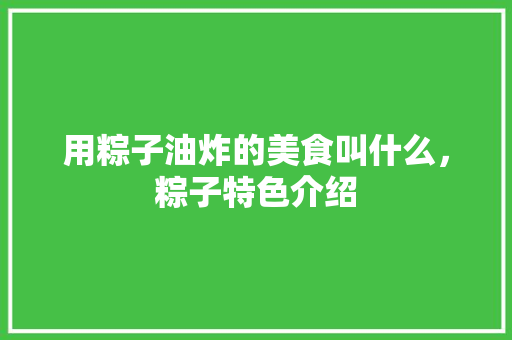 用粽子油炸的美食叫什么，粽子特色介绍 用粽子油炸的美食叫什么，粽子特色介绍 美食推荐